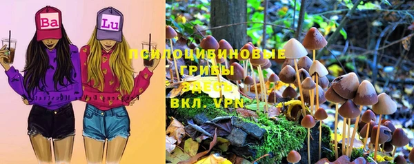 соль ск Верхний Тагил